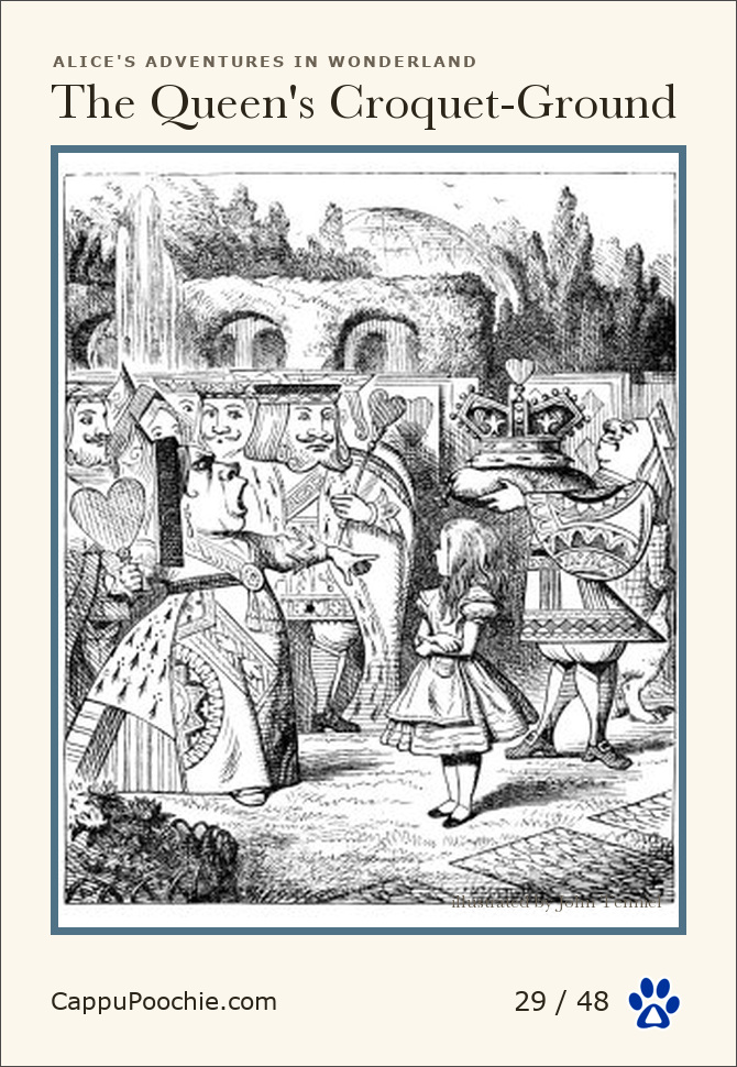 alice Card 29
