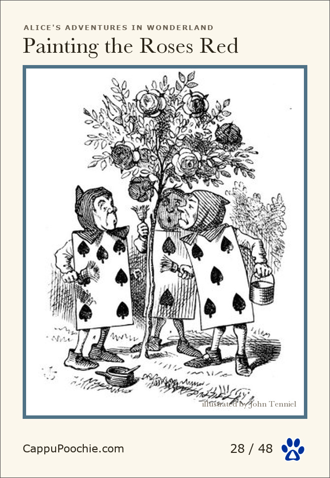 alice Card 28