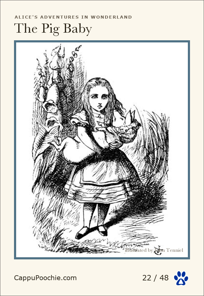 alice Card 22