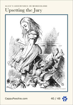 alice Card 40
