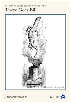 alice Card 13