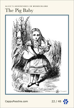 alice Card 22