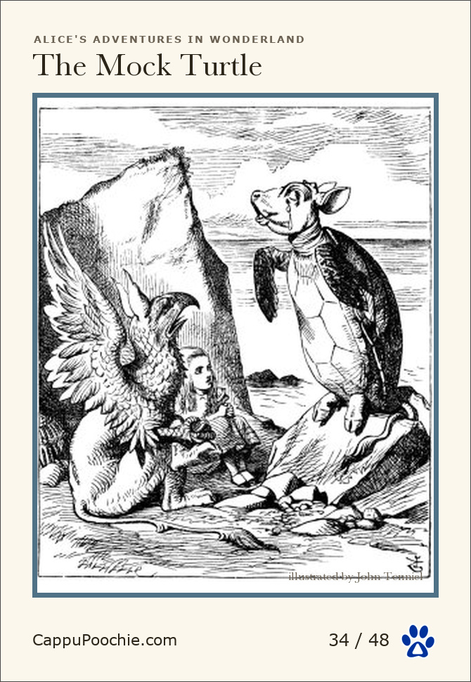 alice Card 34