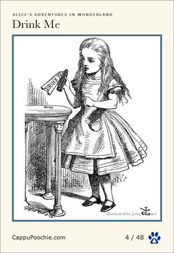 alice Card 04