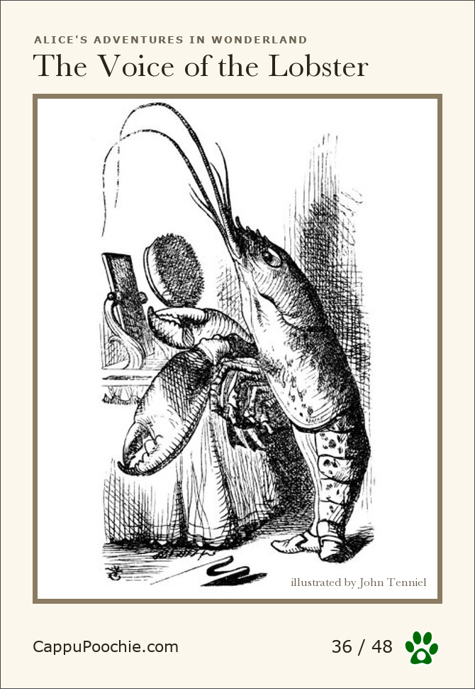 alice Card 36