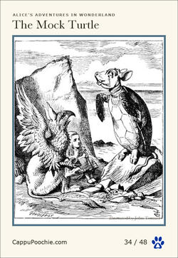 alice Card 34