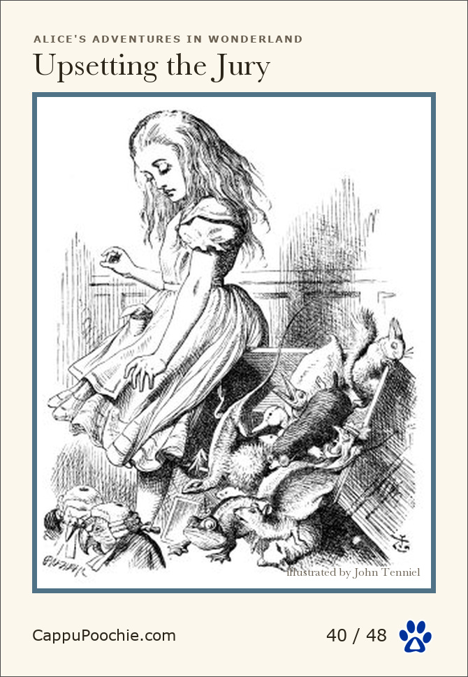 alice Card 40