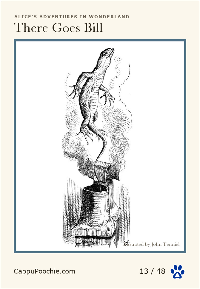 alice Card 13