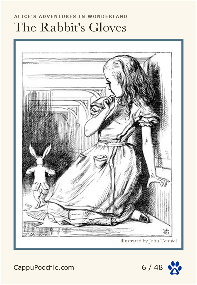 alice Card 06