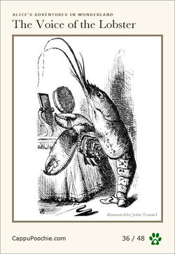 alice Card 36