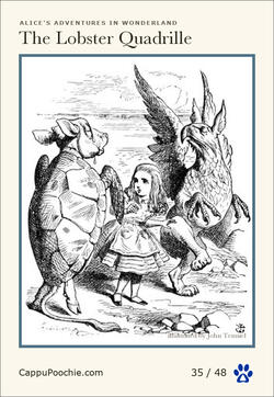 alice Card 35