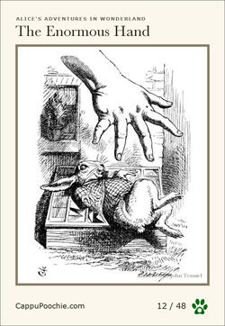 alice Card 12