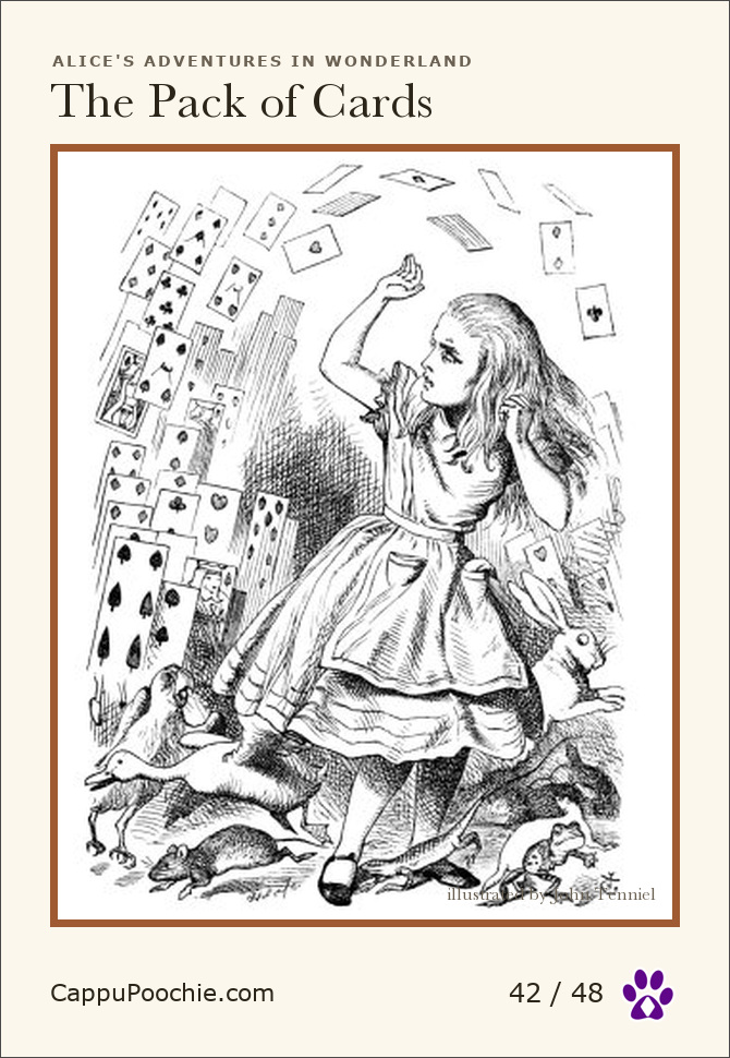 alice Card 42