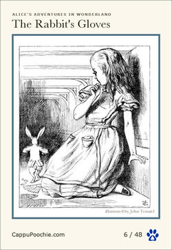 alice Card 06