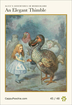 alice Card 45