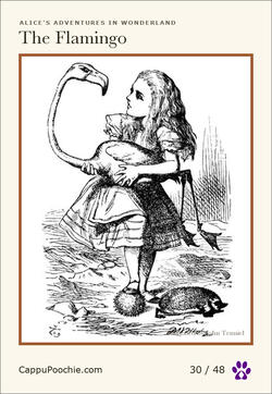 alice Card 30