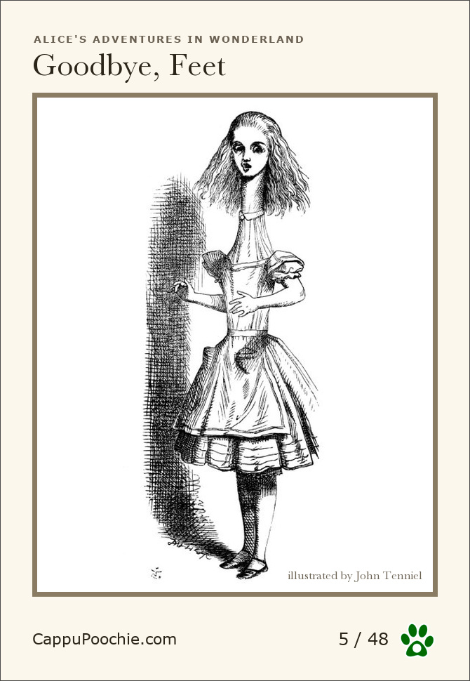 alice Card 05