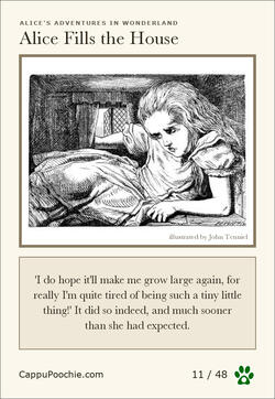 alice Card 11