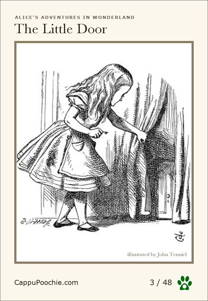 alice Card 03