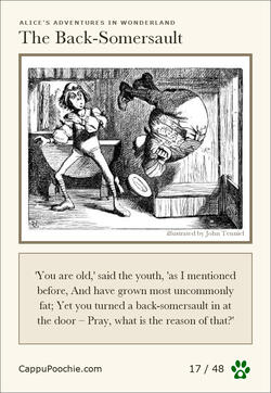 alice Card 17