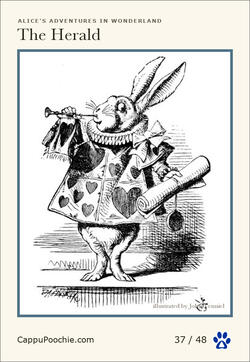 alice Card 37