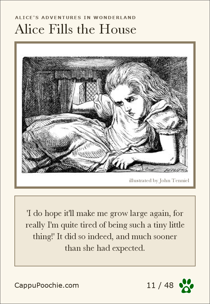 alice Card 11