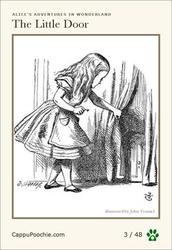 alice Card 03