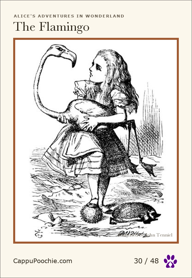 alice Card 30