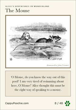 alice Card 08