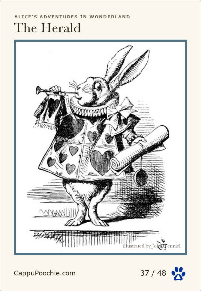 alice Card 37