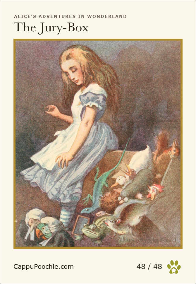 alice Card 48