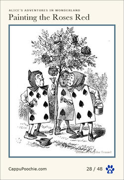 alice Card 28