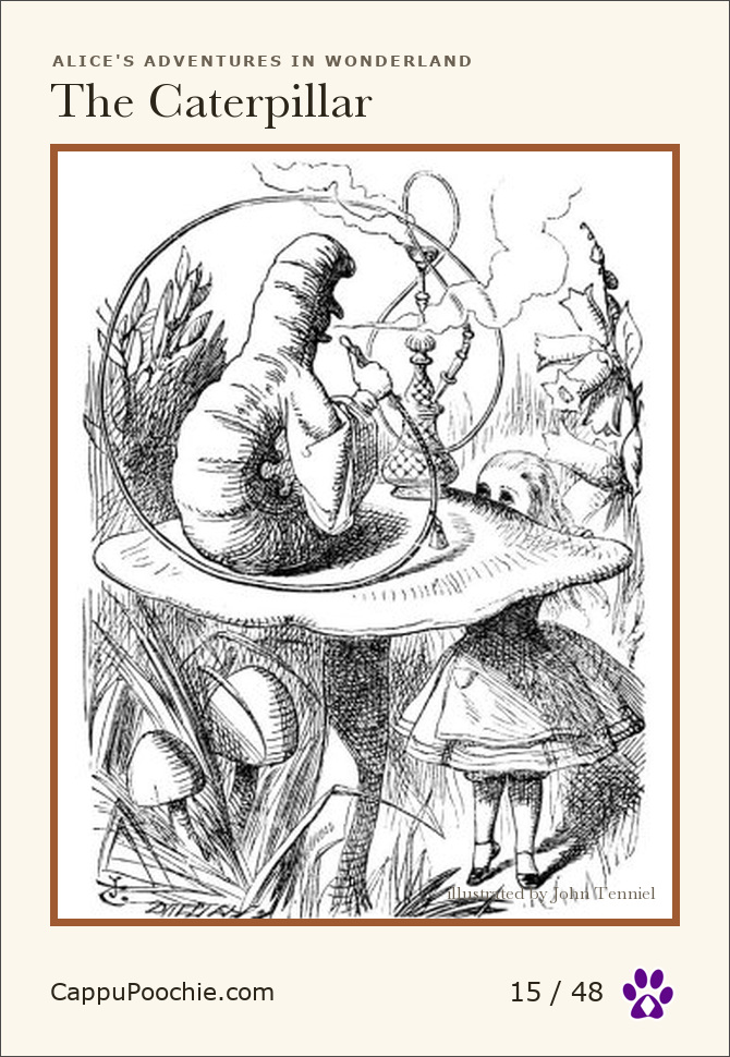 alice Card 15