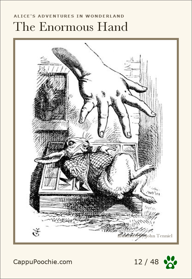 alice Card 12