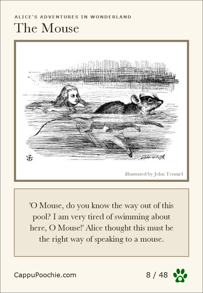 alice Card 08
