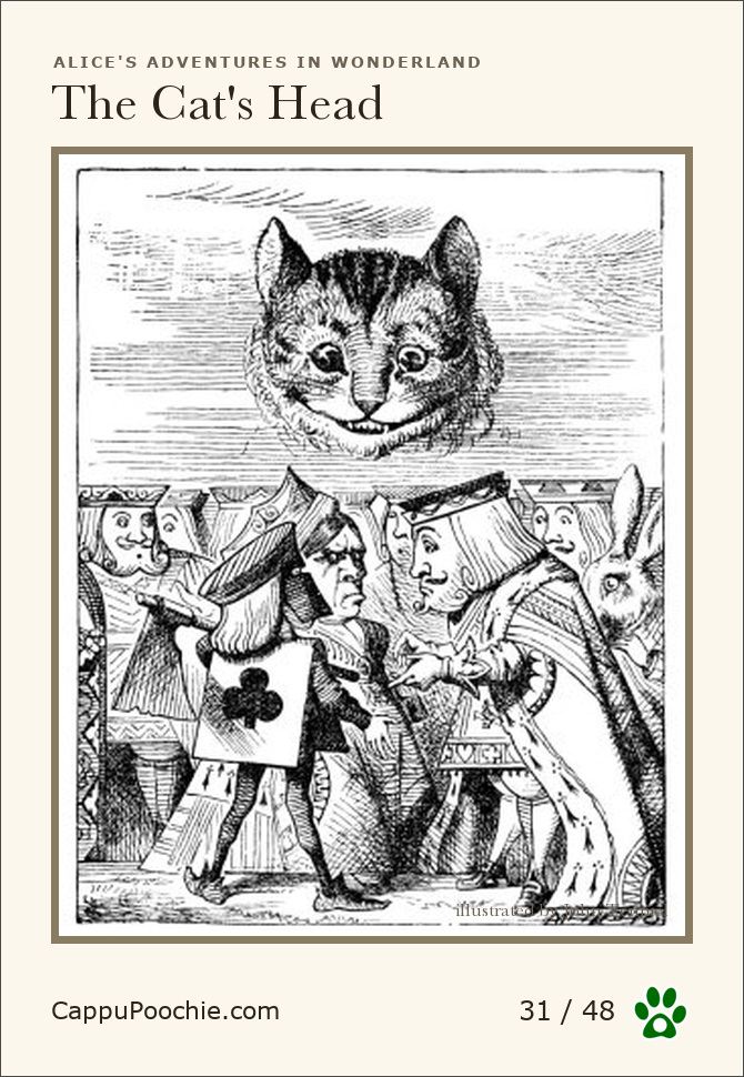 alice Card 31