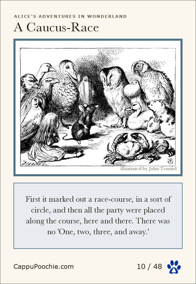 alice Card 10