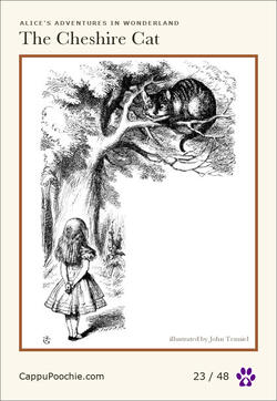 alice Card 23
