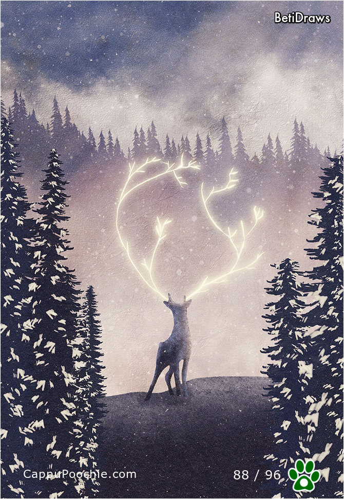 betidraws Card 88