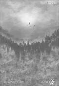 betidraws Card 02