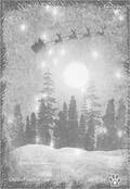 betidraws Card 86