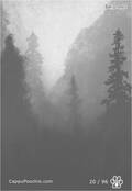 betidraws Card 20