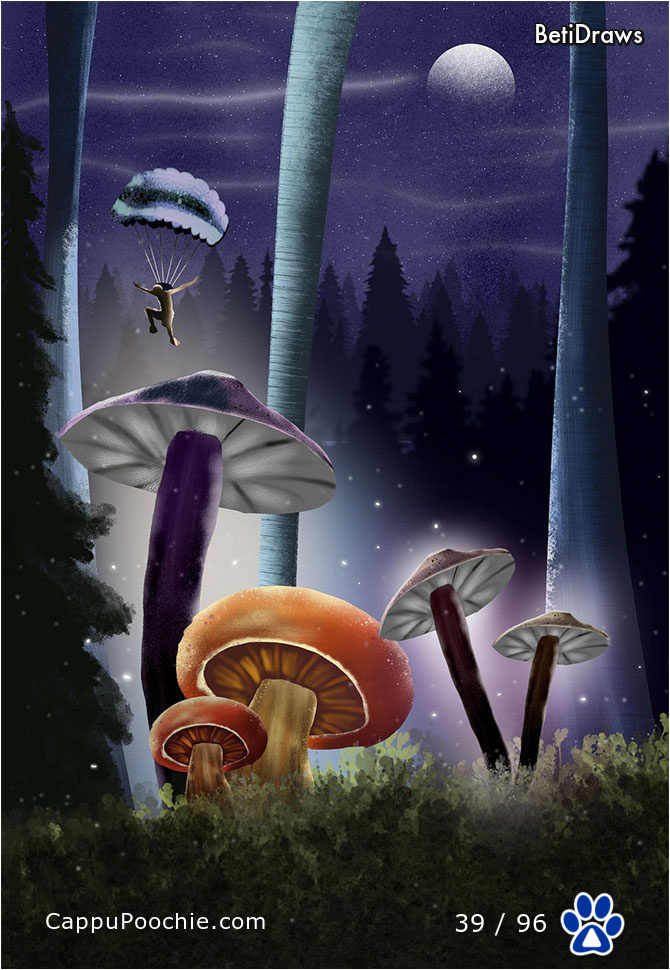 betidraws Card 39