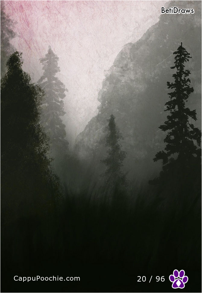betidraws Card 20