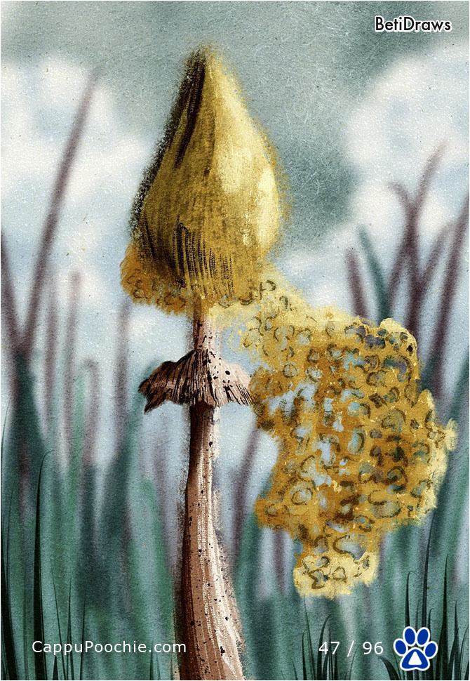 betidraws Card 47