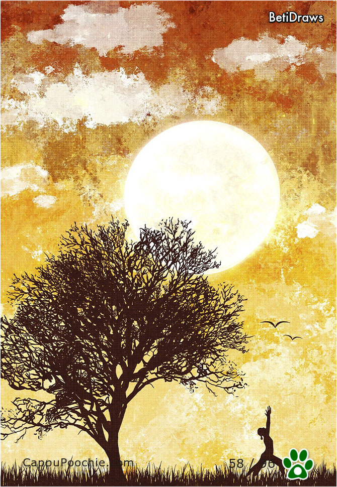 betidraws Card 58