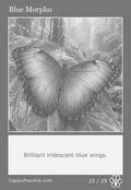 butterflies Card 22