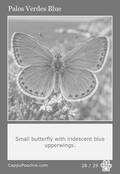 butterflies Card 28