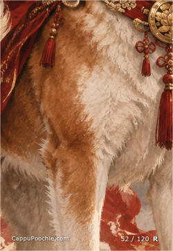 chinesezodiac Card 052