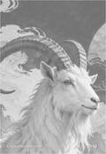 chinesezodiac Card 088